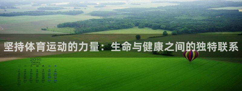 米兰体育官方正版app新能源：坚持体育运动的力量：生