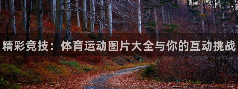米兰体育官方正版app开户：精彩竞技：体育运动图片大