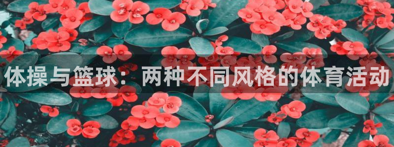 米兰体育官网下载：体操与篮球：两种不同风格的体育活动