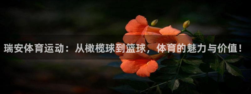 米兰体育官网下载平台：瑞安体育运动：从橄榄球到篮球，