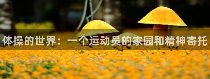米兰体育官网下载平台假的吗是真的吗：体操的世界：一个