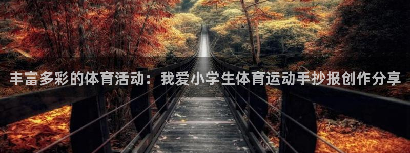 米兰体育官网下载注册：丰富多彩的体育活动：我爱小学生
