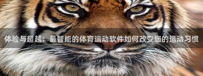 米兰体育官网下载招商：体验与超越：最智能的体育运动软件如何改