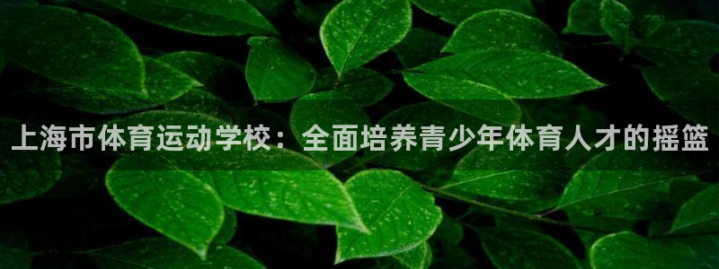 米兰体育官网下载平台注册要钱吗安全吗：上海市体育运动