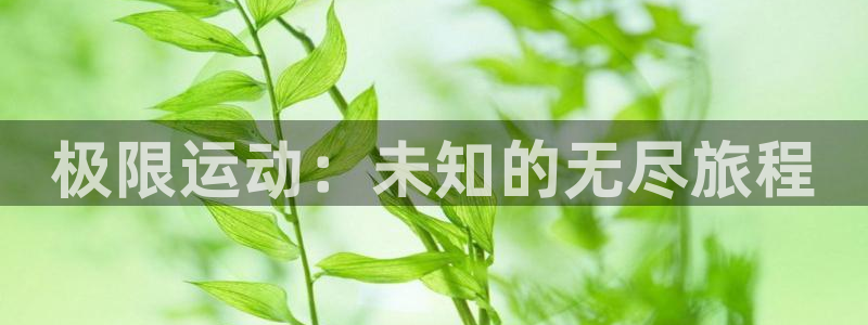 米兰体育官方正版app娱乐代理怎么样：极限运动：未知的无尽旅