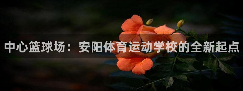 米兰体育官网下载平台注册流程视频：中心篮球场：安阳体育运动学