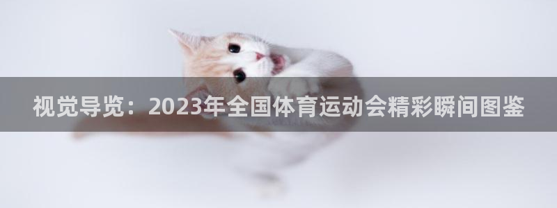米兰体育官网下载招商：视觉导览：2023年全国体育运