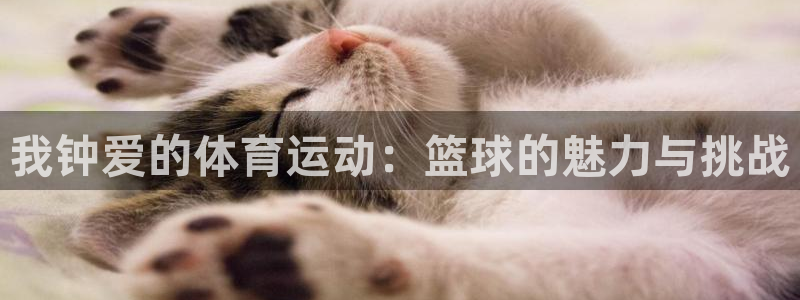 米兰体育官方正版app娱乐首页官网下载：我钟爱的体育