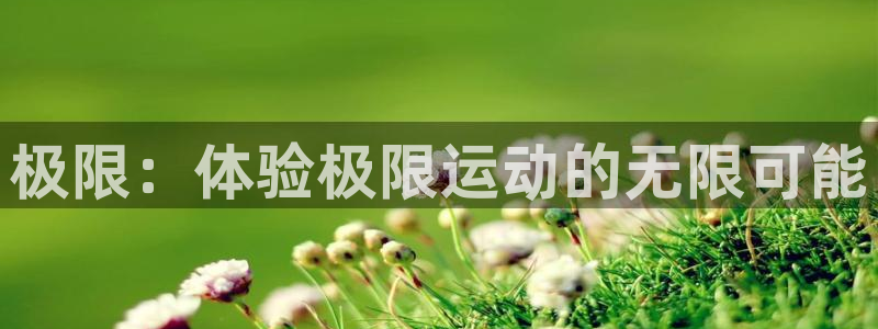 米兰体育官方正版app集团E.ON：极限：体验极限运动的无限