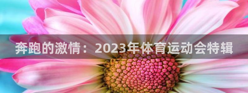 米兰体育官网下载平台注册要钱吗安全吗：奔跑的激情：2023年