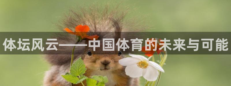 米兰体育官网下载招商电话是多少号码