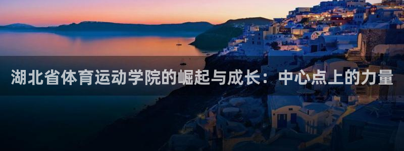 米兰体育官方正版app集团logo：湖北省体育运动学