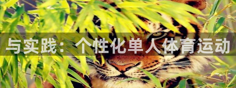 米兰体育官网下载平台注册流程图：与实践：个性化单人体育运动