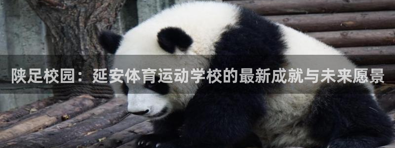 米兰体育官方正版app新能源：陕足校园：延安体育运动