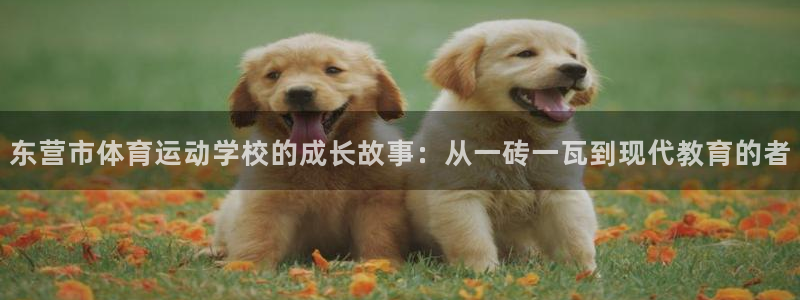 米兰体育官网下载平台注册流程图：东营市体育运动学校的成长故事