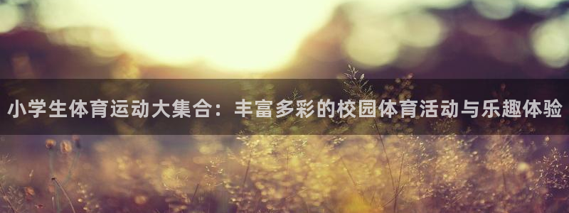米兰体育入口官网网址：小学生体育运动