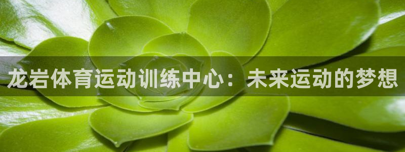 米兰体育锁定钱包解除方法：龙岩体育运